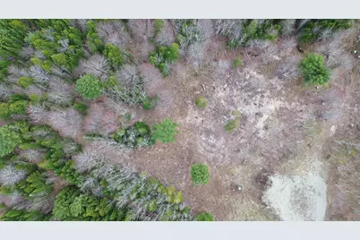 Lot 17 Bailey Mountain Road, Franklin, ME 04634 - Photo 3