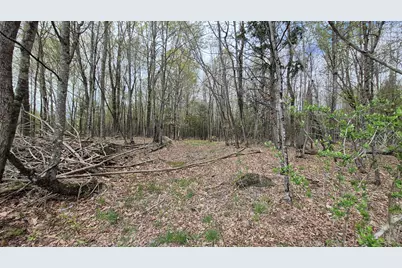 Lot 29-A Hill Road, Clinton, ME 04927 - Photo 7
