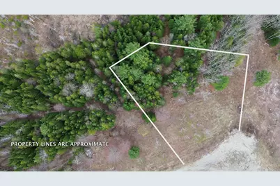 Lot 18 Bailey Mountain Road, Franklin, ME 04634 - Photo 3