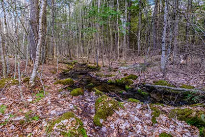 220 Kimball Road, Bridgton, ME 04009 - Photo 71