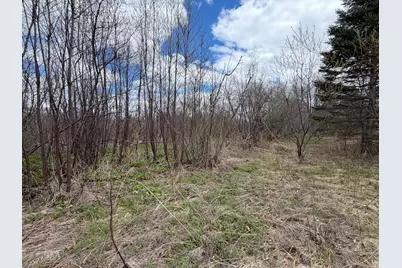 Lot 7 B Road, Houlton, ME 04730 - Photo 7