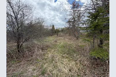 Lot 7 B Road, Houlton, ME 04730 - Photo 5