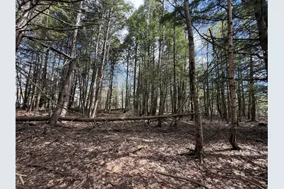 Lot # 8E01 Lord Road, Buxton, ME 04093 - Photo 3