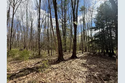 Lot # 8E01 Lord Road, Buxton, ME 04093 - Photo 1