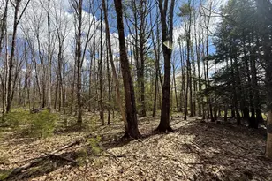 Lot # 8E01 Lord Rd, Buxton, ME 04093 - Photo 1