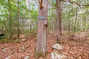 100 Wildhaven Rd, Bridgton, ME 04009 - Photo 73