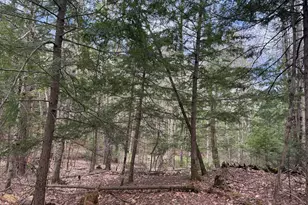 Lot 8F3-B Lord Rd, Buxton, ME 04093 - Photo 1