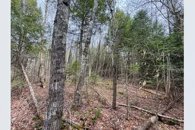 Lot 25 Woodland Ridge Road, Danforth, ME 04424 - Photo 11