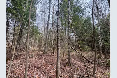 Lot 25 Woodland Ridge Road, Danforth, ME 04424 - Photo 9