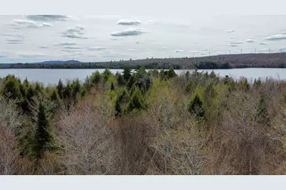 Lot 25 Woodland Ridge Road, Danforth, ME 04424 - Photo 5