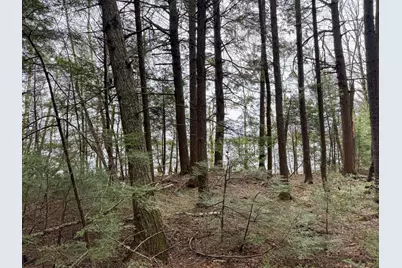 Lot 25 Woodland Ridge Road, Danforth, ME 04424 - Photo 15