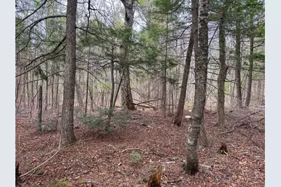 Lot 25 Woodland Ridge Road, Danforth, ME 04424 - Photo 13