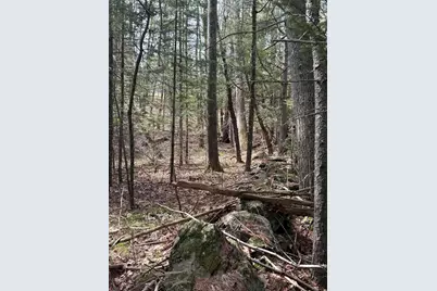 Lot # 8F-3 Lord Road, Buxton, ME 04093 - Photo 11
