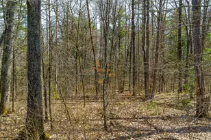 38 Beach Ln, Damariscotta, ME 04543 - Photo 5