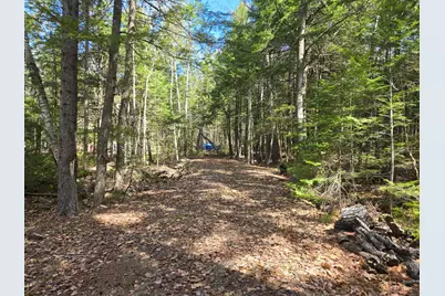 146 Thoroughfare Road, Island Falls, ME 04747 - Photo 15