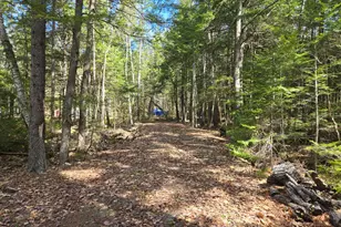 146 Thoroughfare Rd, Island Falls, ME 04747 - Photo 15