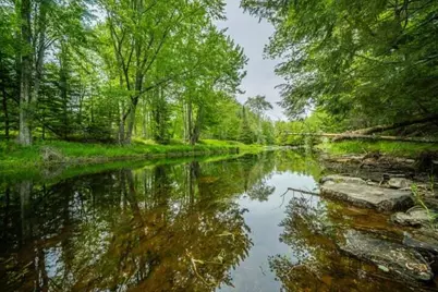 Lot 88-1 Appleton Ridge Road, Searsmont, ME 04973 - Photo 3