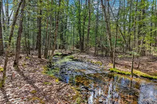 159 Henry Hill Rd, Buxton, ME 04093 - Photo 63
