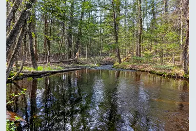 159 Henry Hill Road, Buxton, ME 04093 - Photo 61