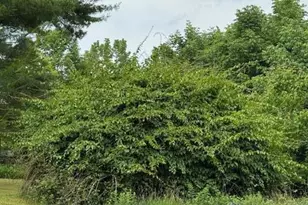 45 Freedom Rd, Belgrade, ME 04917 - Photo 73