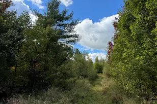 45 Freedom Rd, Belgrade, ME 04917 - Photo 47