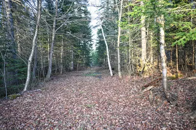 537 Dallas Hill Road, Dallas Plt, ME 04970 - Photo 21