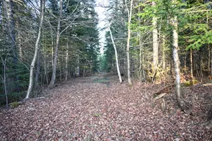 537 Dallas Hill Rd, Dallas Plt, ME 04970 - Photo 21