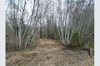 Lot 46H Merriman Road, Island Falls, ME 04747 - Photo 9