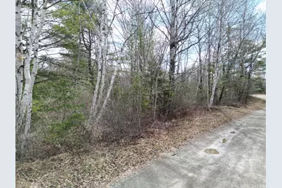 Lot 46H Merriman Road, Island Falls, ME 04747 - Photo 5