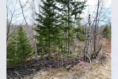 Lot 46I-2 Merriman Road, Island Falls, ME 04747 - Photo 13