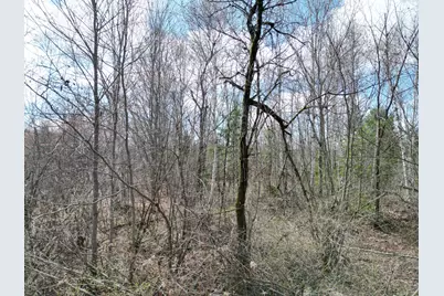 Lot 46I-2 Merriman Road, Island Falls, ME 04747 - Photo 7