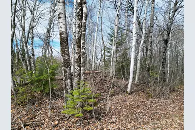 Lot 46I-2 Merriman Road, Island Falls, ME 04747 - Photo 3