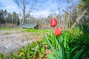 1492 River Rd, Bucksport, ME 04416 - Photo 7