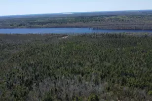 170 Pine Rd, Greenbush, ME 04418 - Photo 3