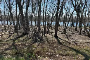 170 Pine Rd, Greenbush, ME 04418 - Photo 7