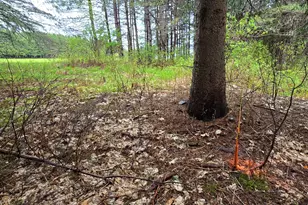 1327 Main St, Grand Isle, ME 04746 - Photo 67