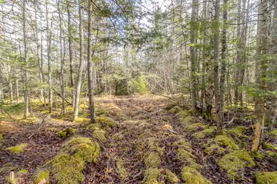 57 Yoho Head Road, Machiasport, ME 04655 - Photo 5