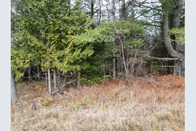 1562 Park Street, Prentiss, ME 04487 - Photo 7