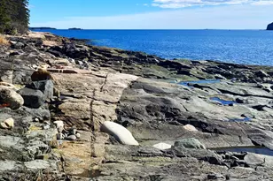 29 Loons Call, Winter Harbor, ME 04693 - Photo 3