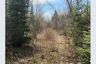 Lot 7 Wilcox Road, Cary, ME 04471 - Photo 15