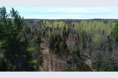 Lot 7 Wilcox Road, Cary, ME 04471 - Photo 5