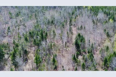 Lot 7 Wilcox Road, Cary, ME 04471 - Photo 13