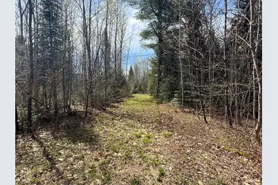 Lot 7 Wilcox Road, Cary, ME 04471 - Photo 17
