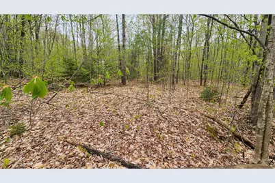 Lot 019 Olivewood Circle, Wilton, ME 04294 - Photo 1