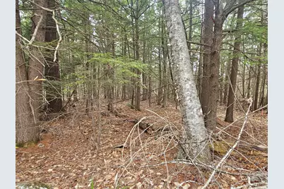 23 Macdonald Road, Waterford, ME 04088 - Photo 43