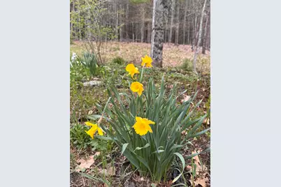 17 Old Pond Road, Dexter, ME 04930 - Photo 87