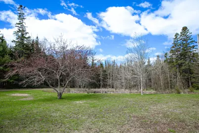 10 Spruce Reach, Gouldsboro, ME 04607 - Photo 75