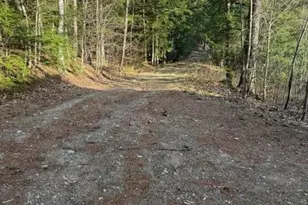 13 County Rd, Sebago, ME 04029 - Photo 5