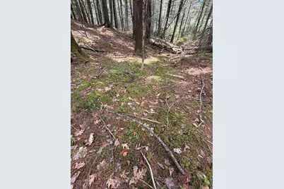 108B Flying Point Road, Freeport, ME 04032 - Photo 17