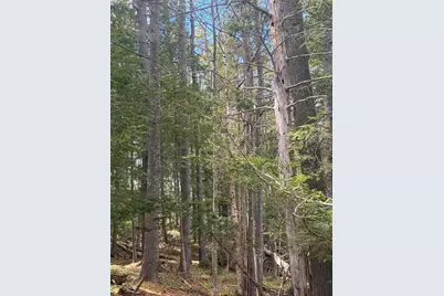 108B Flying Point Road, Freeport, ME 04032 - Photo 13